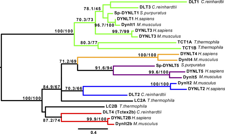 Figure 4.