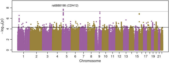 FIGURE 1