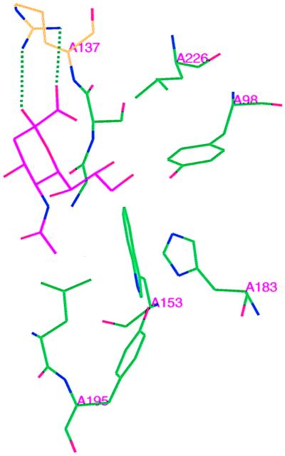 FIG. 5