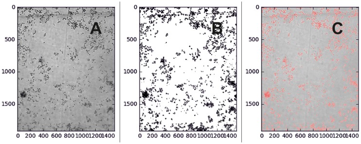 Fig 4