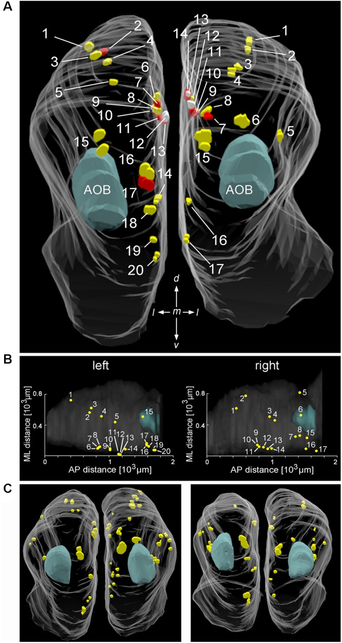 FIGURE 2