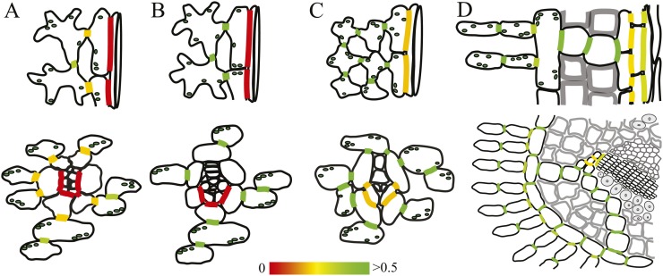 Figure 5.