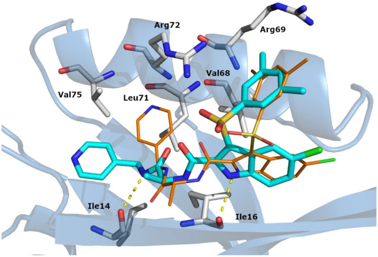 Figure 2