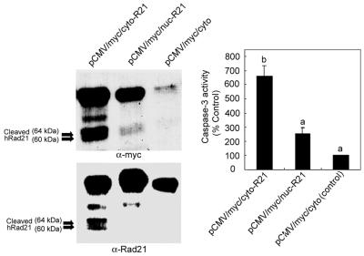 FIG. 11.