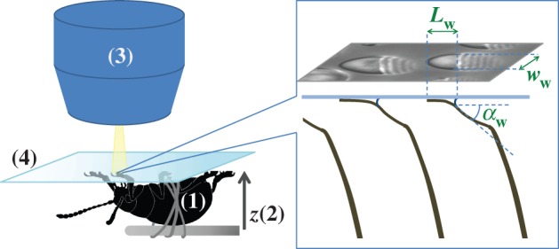 Figure 2.