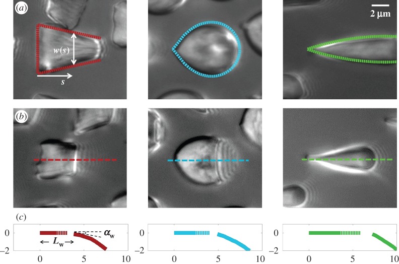 Figure 4.