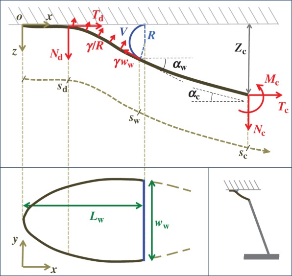 Figure 9.