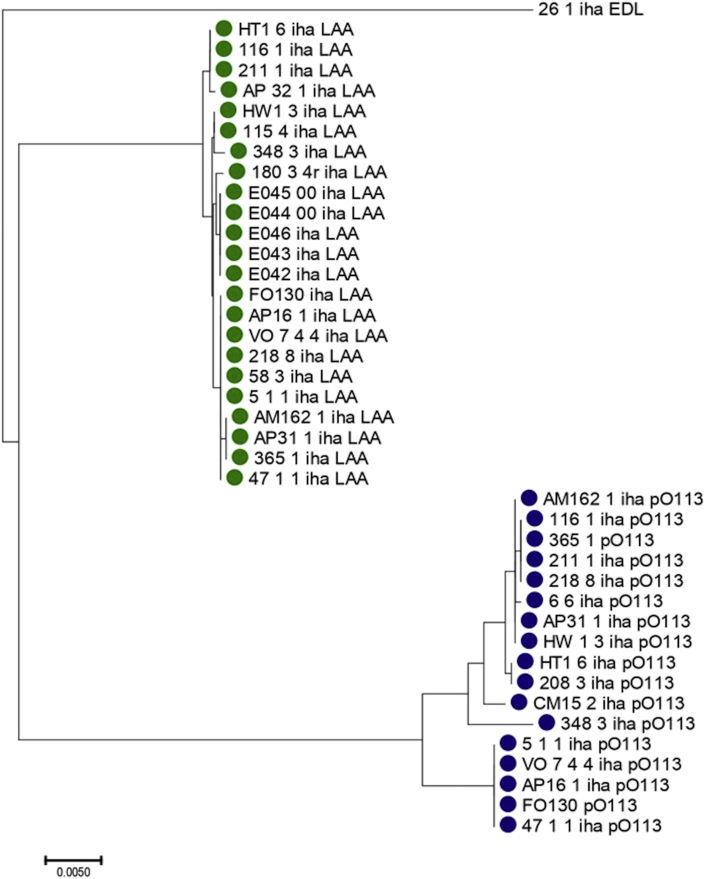 Figure 1