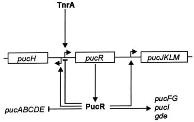 FIG. 7.