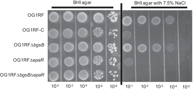 FIG 5