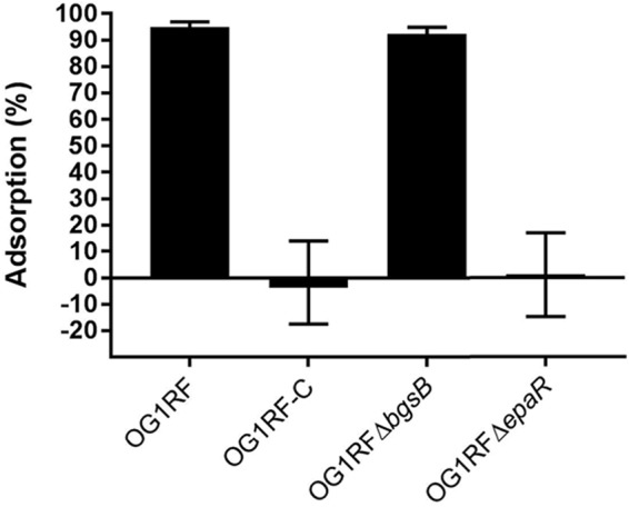 FIG 2