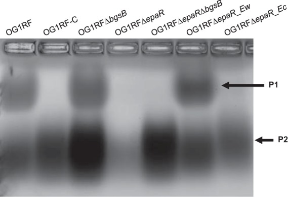 FIG 3