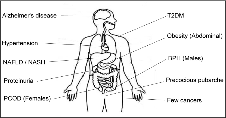 Fig. 1