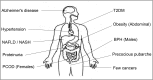 Fig. 1