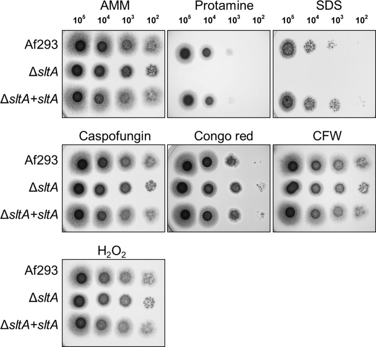 Fig 4