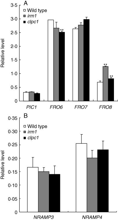 Fig. 8.