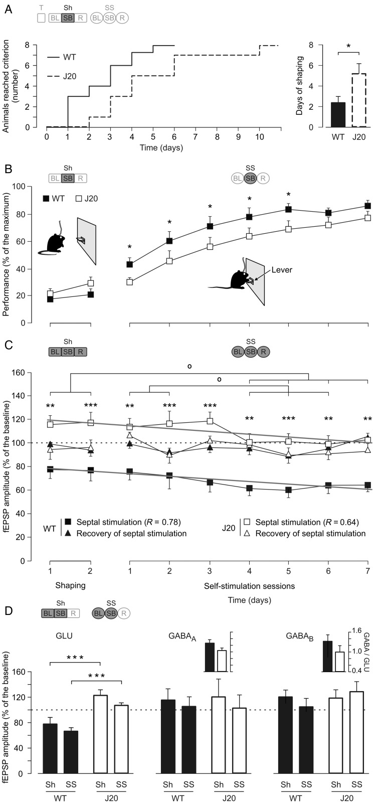 Figure 5.