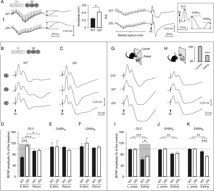 Figure 6.