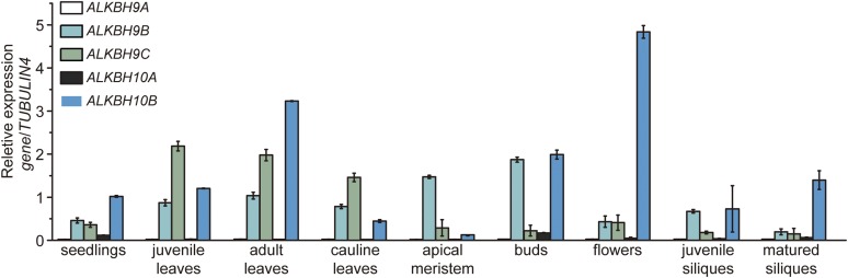 Figure 1.