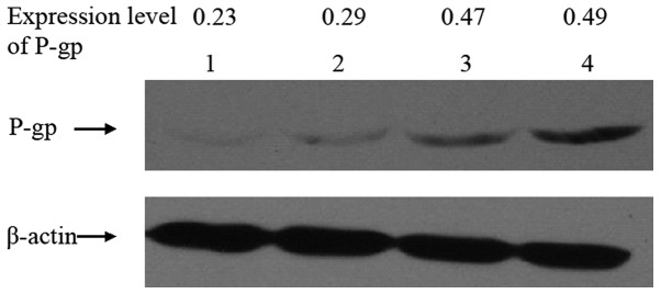 Figure 4.