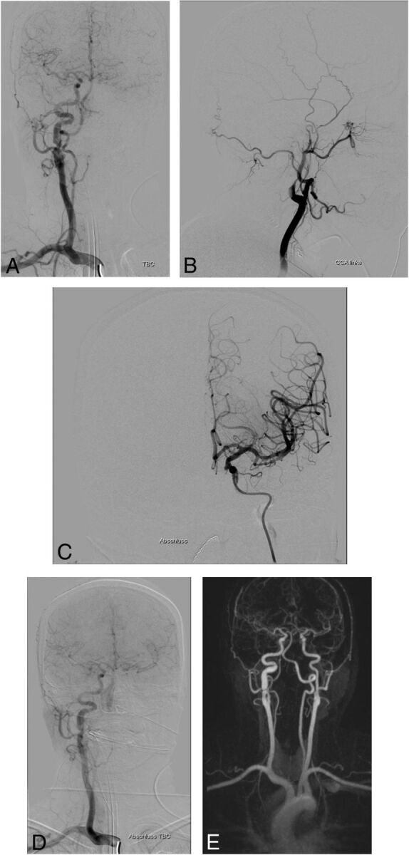 Fig 2.