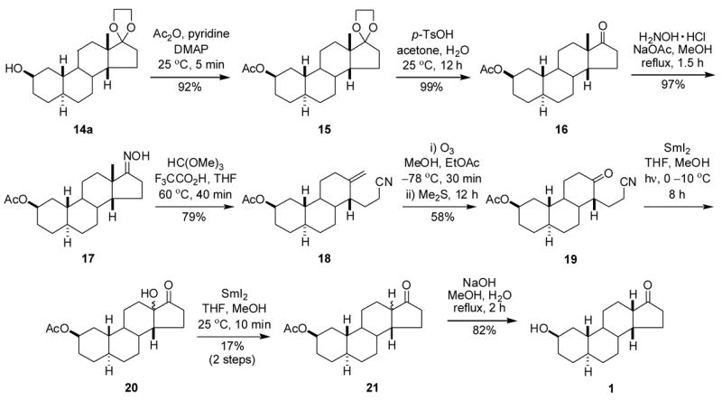 Scheme 4