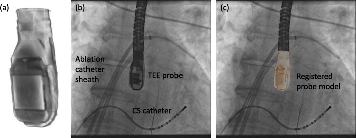 Fig. 2.