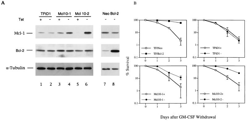 FIG. 7