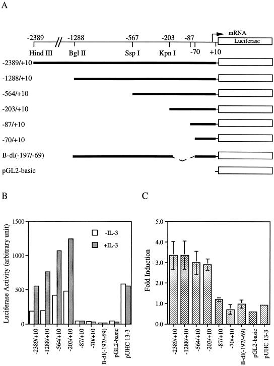 FIG. 6