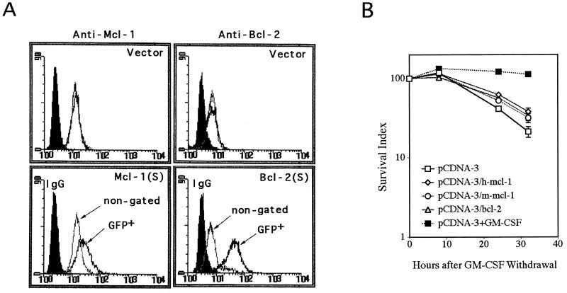 FIG. 8