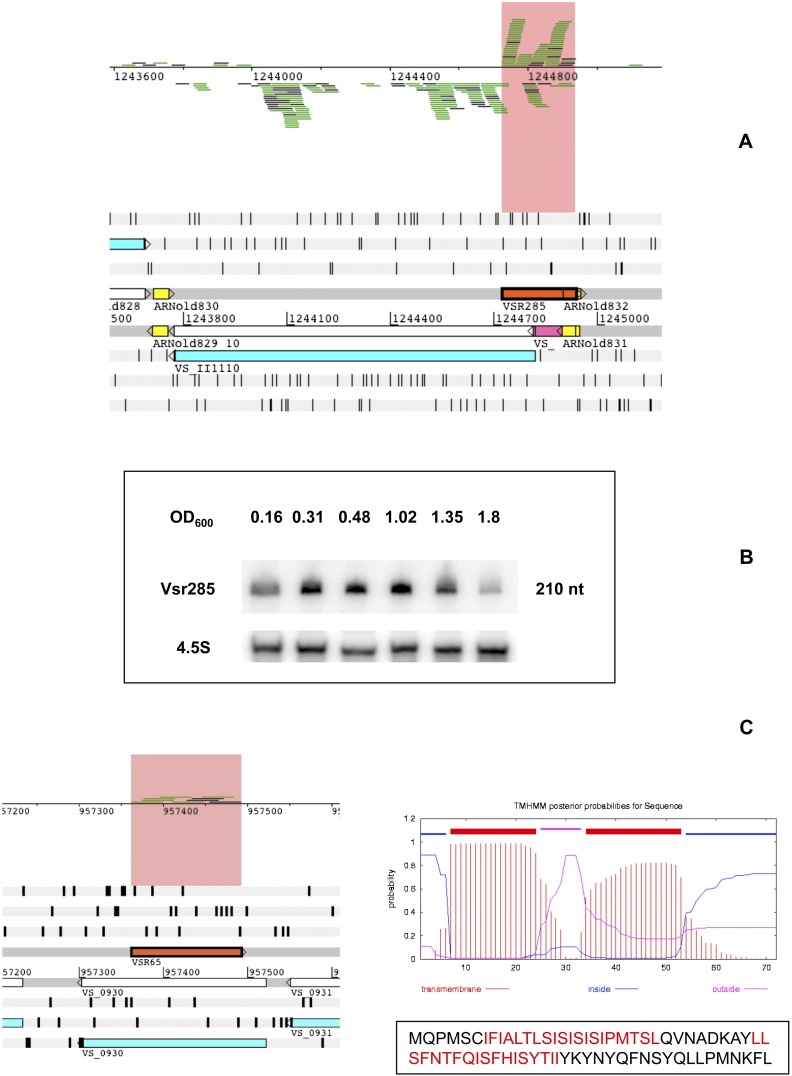 FIGURE 7.