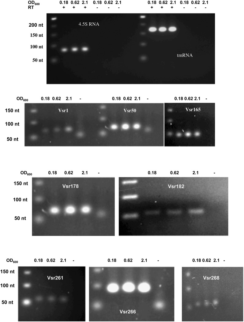 FIGURE 5.