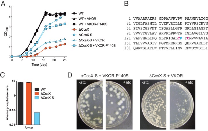 FIG 4 