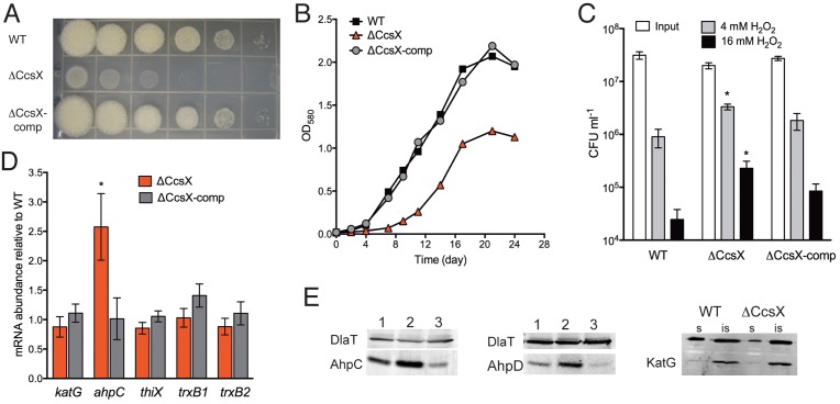 FIG 2 