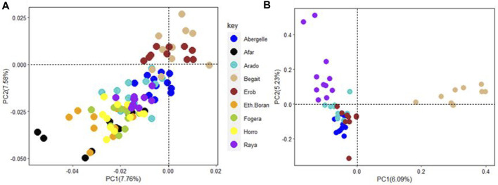 FIGURE 11