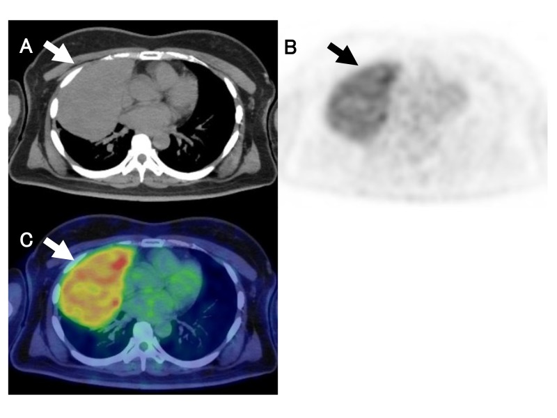 Fig. 5.