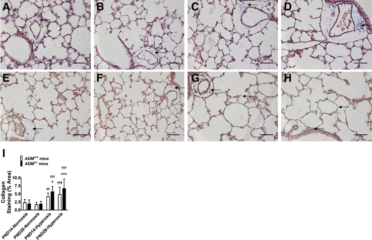 Figure 7