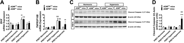 Figure 6