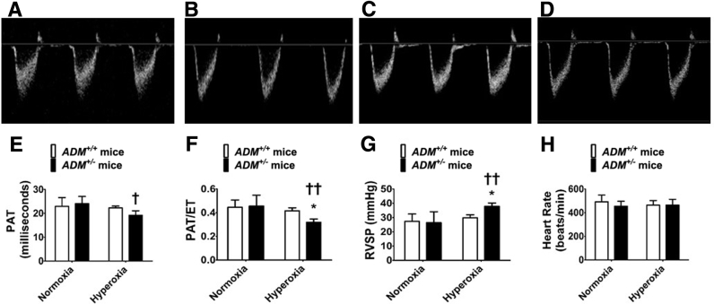 Figure 5