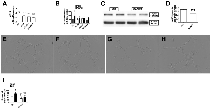 Figure 9