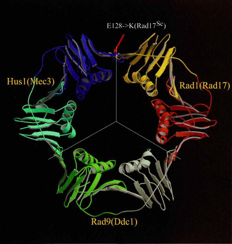 Figure 2