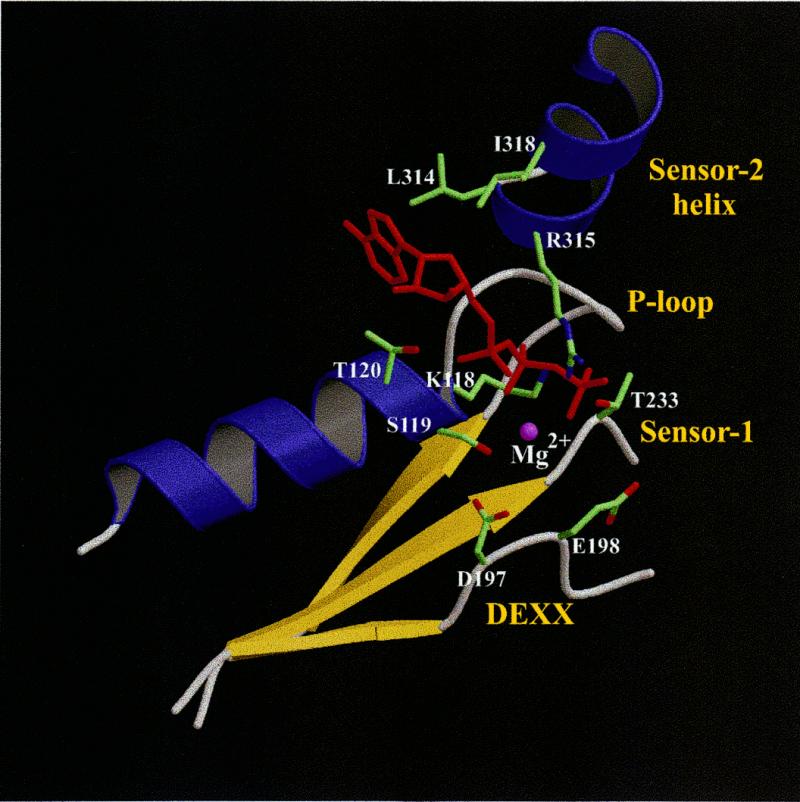 Figure 4