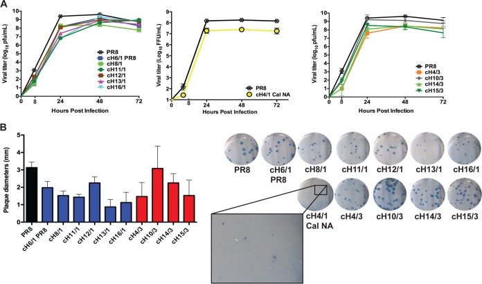 FIG 1