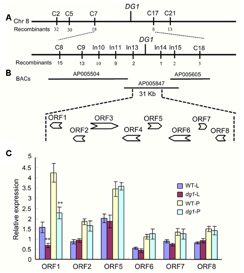 FIGURE 9