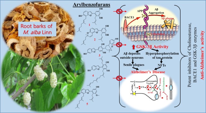 graphic file with name ao-2019-00198f_0006.jpg