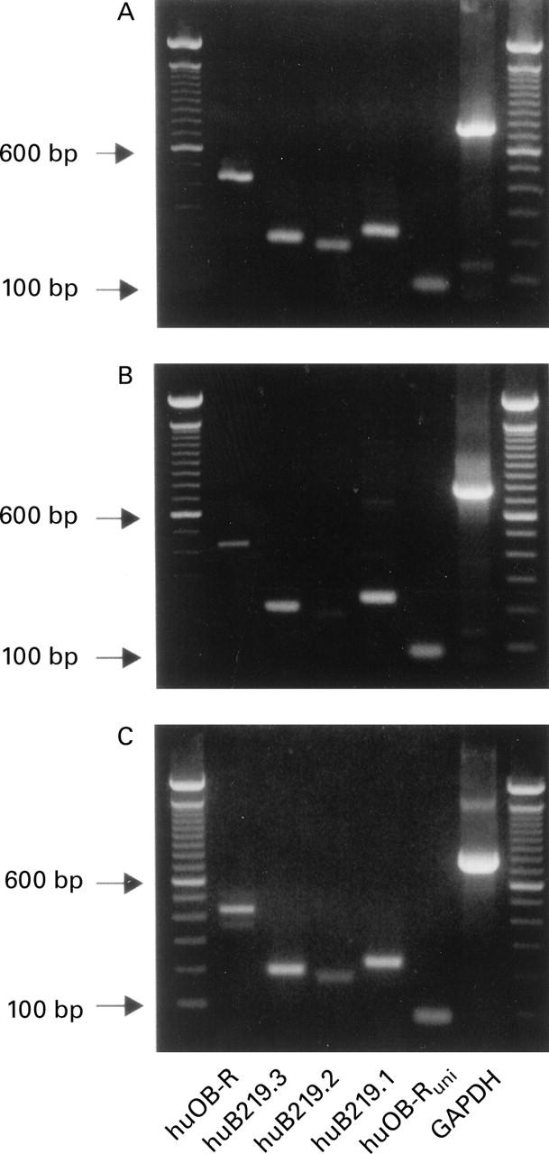 Figure 2  