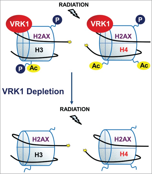 Figure 7.