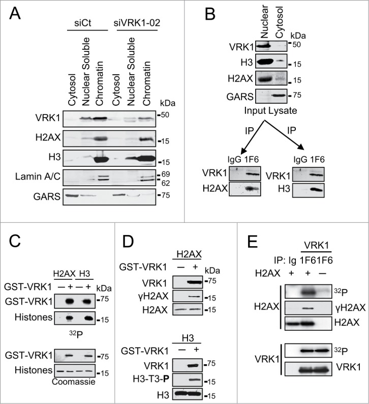 Figure 2.