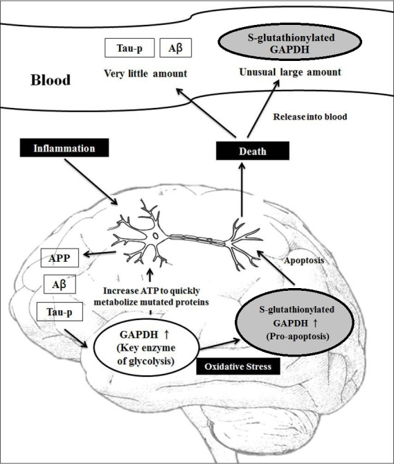 Fig 4