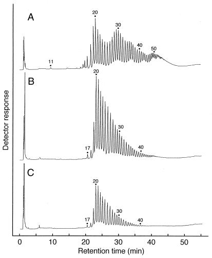 FIG. 7.